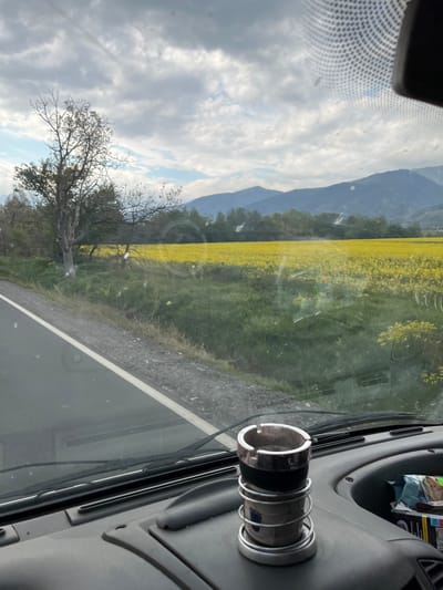 The image captures a daytime view from inside a vehicle, looking out through the windshield at a rural landscape. The road is visible in the lower right, with a gravel shoulder separating it from the natural surroundings.
In the immediate foreground, within the vehicle, a portion of the dashboard is visible on the right, featuring a chrome or metallic spring-loaded holder, possibly for a cup or device. Further back on the dashboard, a blurry packet of goods, likely food packaging, can be seen. The upper left corner of the windshield shows a section of a rearview mirror housing and a dotted pattern on the glass. Windshield wipers are present at the bottom edge of the windshield. The windshield itself shows some reflections and smudges.
The midground features a vibrant yellow field, likely of blooming rapeseed or canola, stretching across the landscape. To the left, a prominent bare tree with dark, intricate branches stands out, with other green trees and foliage in the vicinity.
In the background, majestic mountains rise, appearing blueish and hazy under a sky that is largely covered by white and grey clouds, though patches of blue sky are also visible. The lighting suggests a bright, partly cloudy day. The combination of the yellow fields and mountains is consistent with the provided location context of Pevtsite, Bulgaria. No legible text is visible in the image.