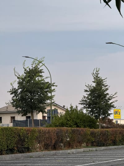 The image shows a street scene in Saluzzo, Italy. In the foreground, there is a paved area with white lines painted on it, likely a parking lot. Behind this, a curb separates the pavement from a low, dense hedge that runs horizontally across the frame. The hedge is a mix of green and brown foliage, with some dead branches visible.
In the middle ground, there are two trees with leafy canopies. The tree on the left is larger and closer to a street lamp with a curved arm. Behind the trees and hedge, a building with a light-colored facade and a tiled roof is visible. A black fence is situated in front of part of the building. Further in the background, to the right of the frame, a yellow sign with the text "IN'S mercato" is mounted on a building. The sky is overcast with a pale, hazy blue hue. There are no people visible in the image.