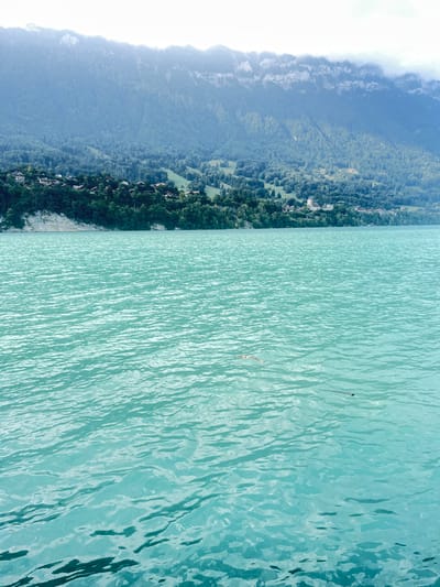 The image presents a wide view of Lake Brienz, bordering the town of Bönigen, Switzerland. The foreground and midground are filled with the lake's turquoise water, characterized by numerous ripples on its surface. Two small, indistinct pieces of debris are visible floating on the water in the mid-foreground: one is a light-colored, elongated object, possibly a twig, and the other a smaller, dark object. The far shore features a dense, verdant tree line immediately bordering the water. Behind this tree line, the village of Bönigen is visible, with several houses interspersed among the trees. A prominent white church building with a visible spire stands out on the shoreline, slightly to the right of the image's center. Beyond the village, forested hills ascend, leading to large, rugged mountains in the far background. The mountain peaks are partially obscured by a light atmospheric haze or low-lying clouds. The sky above is overcast. No people, animals, or active subjects are present in the scene.