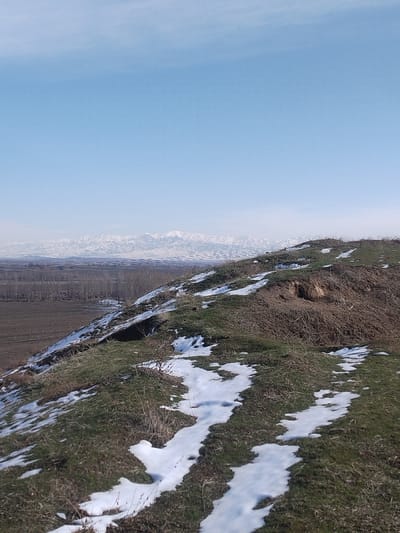 A landscape shows a grassy hill with patches of snow. A bare patch of dirt is visible on top of the hill. A flat area of land sits behind the hill, followed by a row of bare trees. In the far background, snow-capped mountains rise. A bright blue sky fills the majority of the frame.