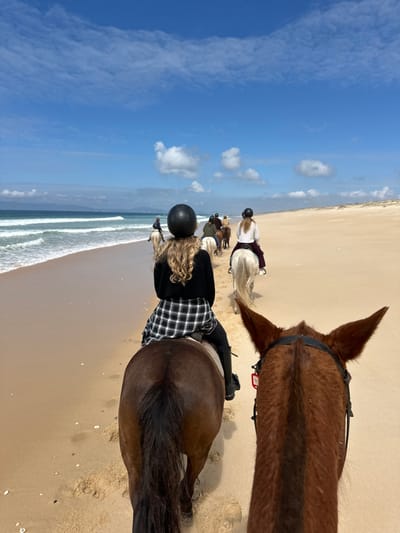 A group of at least eight individuals is engaged in horseback riding along a wide, sandy beach in Grândola, Portugal, under a partly cloudy blue sky. The scene is captured from a first-person perspective, looking over the head and ears of a brown horse. Immediately ahead, a rider with long blonde hair, wearing a black riding helmet, black top, black and white plaid shirt tied at the waist, black pants, and black tall boots, sits atop a dark brown horse. This horse is positioned near the ocean's edge, where gentle waves break on the shore.
Further along the beach, additional riders on various light and dark-colored horses, all wearing helmets and riding attire, proceed in a loose formation, heading left to right relative to the distant horizon. The ocean, characterized by turquoise water and white surf, extends to the left, with a faint landmass visible on the distant horizon. To the right of the riders, a wide expanse of light-colored sand transitions into low sand dunes or a sandy bank. The wet sand near the waterline shows hoofprints and scattered small shells. The overall environment indicates a coastal leisure activity.