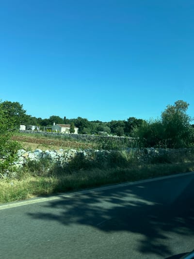 This image depicts a rural landscape near Cassano delle Murge, Italy, captured from a moving vehicle under a clear blue sky. The upper half of the frame is dominated by an uninterrupted cerulean sky. The horizon is marked by a dense band of varied green trees and foliage. In the mid-ground, a light-colored building with a reddish-brown tiled roof is partially visible among the trees, accompanied by two white outdoor structures resembling pergolas or gazebos to its left. A cultivated field with exposed brown earth lies in front of these structures. Multiple dry stone walls, composed of irregular light-colored stones, horizontally segment the terrain. The foreground features an asphalt road with a visible white solid line on its right edge, exhibiting motion blur. Dark, irregular shadows of trees or overhead objects are cast onto the road surface, indicating direct sunlight. The immediate roadside verge is overgrown with green and dry grasses and low-lying shrubs. No human or animal subjects are present in the scene.