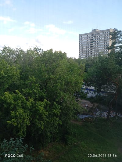 An exterior, high-angle, wide shot captures a residential building and surrounding trees in Syzran, Russia, on June 20, 2026, at 18:36. The concrete apartment building, with numerous windows, dominates the upper right portion of the frame, partially obscured by lush green trees. The trees in the foreground are dense and leafy, with some showing signs of wilting or damage. A patch of bare ground with scattered debris, including plastic bags and what appears to be household waste, is visible between the trees and the building. The sky above is a pale blue with scattered clouds. The bottom left corner of the image shows a partial view of a bush with dark green leaves and the text "POCO C65".
