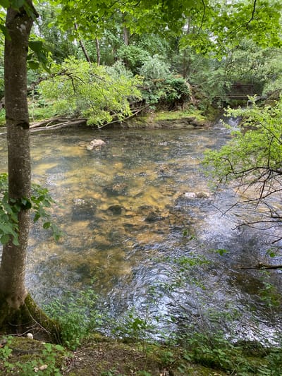 This image shows a river flowing through a wooded area in Boudry, Switzerland. The water is clear and shallow in some parts, revealing the rocky riverbed. The river is bordered by trees and vegetation on both sides. A small bridge can be seen in the background, spanning the river. There are no people visible in the image. The overall impression is that of a peaceful, natural environment.