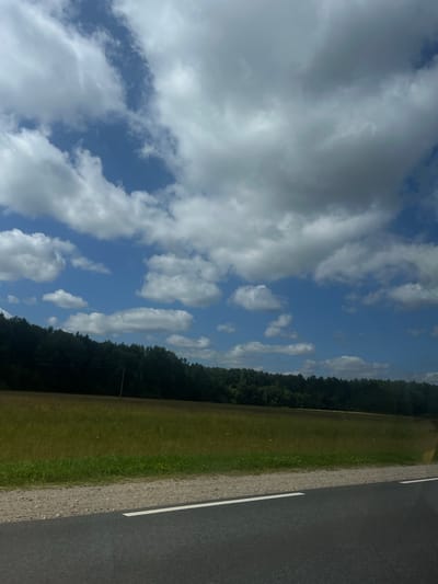 The image captures a scenic view of a rural landscape in Panartiškės, Lithuania, under a partly cloudy sky. The foreground features a dark asphalt road with a white line marking its edge, bordering a gravel shoulder. Beyond the shoulder, a field of tall, dry grass stretches towards a dense line of dark green trees that forms the horizon. The sky above is a vibrant blue, dotted with scattered white cumulus clouds of varying sizes and densities, some appearing fluffy and others more wispy. There are no people or animals visible in the frame, and no discernible actions or interactions are taking place. The overall impression is one of a serene, natural environment.