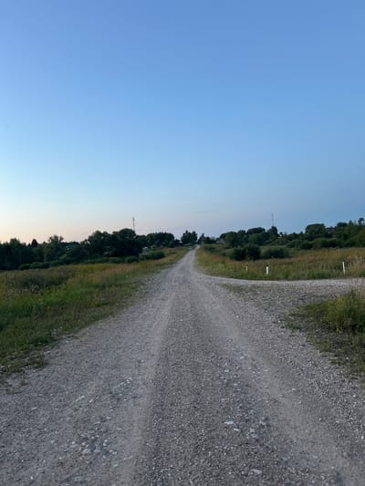 This media file depicts a rural landscape in Abushkovo, Russia, likely during the late evening or early morning due to the soft, diffused light. The scene features a gravel road winding through a grassy field bordered by dense trees. The sky is a clear, pale blue, transitioning to a lighter hue near the horizon, suggesting twilight.
The gravel road dominates the right side of the frame, with its textured surface composed of small stones. To the left of the road, the ground is covered in green grass and wild vegetation. Further left, a line of trees forms a dark, lush barrier, with glimpses of a communication tower or cell tower rising above the canopy in the distance. A few small, scattered white markers are visible along the edge of the field.
No people or specific objects are clearly discernible within the scene, apart from the natural elements and the road itself. The overall atmosphere is serene and peaceful, characteristic of a quiet rural setting. The time of day is indicated by the soft lighting and the color of the sky. There is no visible text in the image.