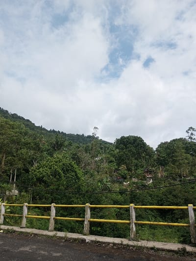 A hilly landscape with dense green vegetation dominates the scene. A yellow guardrail, with gray supports, stands in the foreground. Above the greenery, a cloudy sky fills the upper portion of the image, with patches of blue visible. Some buildings are also visible among the trees. The road is black and is just under the guardrail.