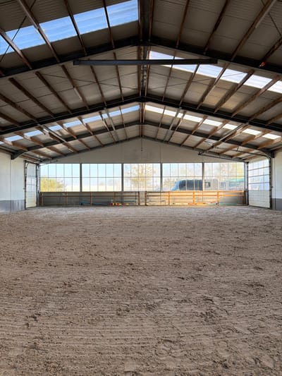 This image depicts the interior of a large, empty indoor riding arena located in Enghien, Belgium. The floor is covered with raked sand footing, exhibiting some light impressions, possibly hoof prints. The structure features a high-pitched corrugated metal roof with numerous evenly spaced translucent skylight panels, allowing natural light to illuminate the space. The roof is supported by visible metal and wooden trusses and beams.
Along the far wall, a continuous bank of rectangular windows extends horizontally, providing a view of outdoor trees and a dark-colored vehicle, possibly a horse trailer, parked outside. Beneath these windows, a low wooden railing system is installed, serving as a perimeter for the arena. Small, multi-colored training objects, resembling cones or blocks, are sparsely distributed on the sand near this far railing. On the left and right walls, large, white sectional overhead garage doors are present; the door on the left is partially open, while the one on the right is closed. No individuals or animals are present in the arena. The overall environment is well-lit by natural daylight.