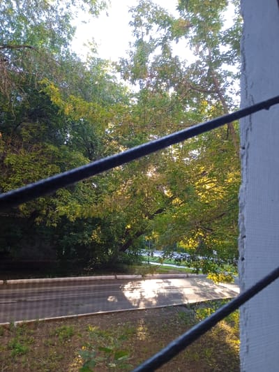 This image depicts a view through a window, possibly on a balcony or in a room, looking out onto a street lined with trees. Two dark, horizontal bars, likely part of the window grate or screen, partially obstruct the view. The sun is shining brightly, casting dappled light and shadows on the asphalt road and surrounding grassy area. The trees are lush and green, with some leaves beginning to turn yellow, suggesting it might be late summer or early autumn. The street appears to be a residential street with no visible vehicles or pedestrians. The overall scene suggests a calm, everyday setting. The image was taken in the village of Pokatilov in Kazakhstan.