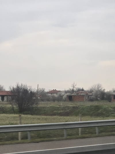 The scene depicts a rural area in the vicinity of Opalchenets, Bulgaria, under an overcast, light grey sky. In the immediate foreground, a grey asphalt road with a single white solid line on its right edge is partially obscured by a metallic grey W-beam guardrail extending horizontally across the lower portion of the frame. Beyond the guardrail, a green grassy slope ascends towards the background, dotted with numerous deciduous trees and bushes. Many trees exhibit bare branches, consistent with late winter or early spring, though some display faint white elements, possibly indicating early blossoms or buds.
Multiple single-story structures are visible in the background, mostly partially obscured by vegetation. To the far left, a house with a red-tiled roof and light-colored walls features a dark, recessed opening, possibly a doorway or window. Towards the center-right, a brick building with a red-tiled roof and exposed brickwork is present, showing a dark, open window aperture, suggesting a state of disrepair or being unfinished. Additional structures are partially visible behind the trees further in the background. A single utility pole stands vertically among the trees in the mid-left portion of the image. No individuals are present in the scene.