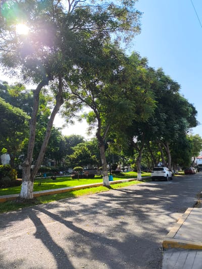 The image shows a street scene in Víctor Larco Herrera, Peru, adjacent to a park or plaza. The street is paved with asphalt and has sidewalks along the edge. The park area features green grass, trees with whitewashed trunks, benches, and some shrubs. Several vehicles are parked along the side of the street. The day is sunny, with tree shadows cast on the road. In the park, some people sit on a bench.