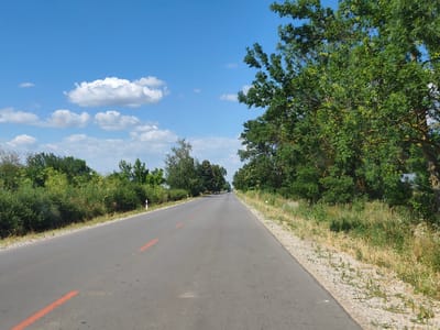 An asphalt road with intermittent orange markings stretches into the distance, flanked by lush green trees and vegetation on both sides. The sky above is a clear blue, dotted with fluffy white clouds. White road markers are visible along the right side of the road. The scene depicts a rural road likely located in or near Krushovitsa, Bulgaria, under a bright, sunny sky.