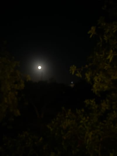 The image depicts an out-of-focus nocturnal scene, ostensibly located in the city of Πλατύς Γιαλός, Greece. The primary subject is a prominent, bright, circular white light source, identified as the Moon, positioned in the upper-left quadrant of a uniformly dark, clear night sky. The foreground and lateral portions of the frame are occupied by dense, dark, out-of-focus foliage, consistent with tree branches and leaves, rendering their specific details indistinguishable. Below the Moon, a dark, indistinct silhouette of a landscape or distant structures is faintly visible on the horizon. A secondary, smaller, blurry, blue-white light source is present in the mid-right portion of the frame, lower than the Moon, indicating a distant artificial light. No individuals, specific objects beyond the described light sources and foliage, or discernible actions or interactions are visible within the frame. The overall scene is characterized by deep darkness, punctuated by the luminous Moon and the distant light, viewed through heavily blurred foreground elements.