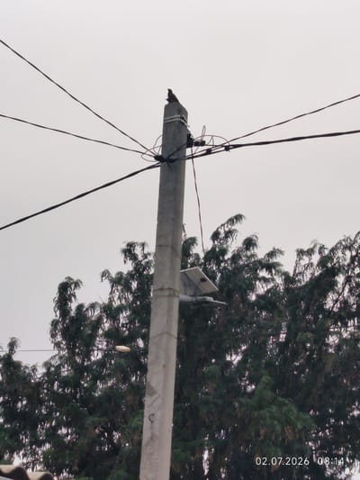 A concrete utility pole stands against an overcast sky. A bird is perched on the top of the pole. Several wires are suspended from the pole. Attached to the pole is a solar-powered street light fixture. Behind the utility pole, a dense canopy of dark green trees fills the lower portion of the frame. The bottom right corner of the image displays a timestamp: "02.07.2026 08:14".
