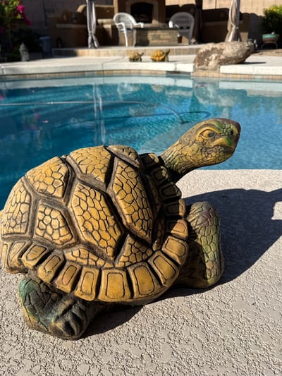 A ceramic garden turtle statue with a yellow-brown textured shell and green accents on its head and legs sits on a textured concrete surface beside a swimming pool. The pool water is blue. In the background, a patio area features a stone fireplace, chairs, and greenery. The scene is outdoors, under bright sunlight, casting a shadow from the statue onto the concrete. The location is a residential backyard in Phoenix, Arizona, United States of America.