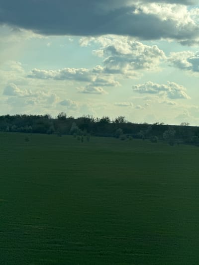 The image depicts a landscape scene consisting of a field, a line of trees, and a sky with clouds. The field is predominantly green, suggesting vegetation. A line of trees separates the field from the sky. The sky is filled with varying cloud formations, some appearing dark and potentially indicative of a storm. The location is not discernible from the image.