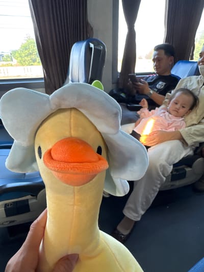 A plush yellow duck toy with a white flower on its head is held in the foreground by a hand. The duck's beak is orange and its eyes are black dots. In the background, a baby in a pink outfit sits on someone's lap. A person in a black t-shirt with a white logo is seated next to them, looking at their phone. Another person is partially visible on the right. They appear to be inside a vehicle, possibly a bus or train, with dark brown curtains covering windows. The scene suggests a journey, possibly within or near the city of Tuy Hoa, Vietnam, indicated by the presence of trees and buildings visible through the window.