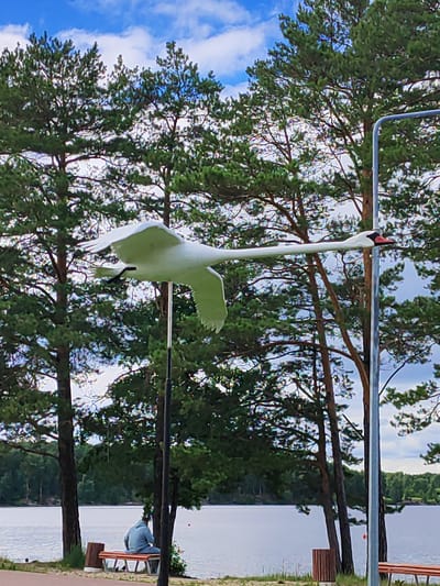 The image shows a large, white swan sculpture in flight, positioned prominently in the foreground against a backdrop of tall pine trees and a cloudy blue sky. The swan sculpture has its wings spread wide and its long neck extended, with a red beak. In the mid-ground, a calm lake is visible, with a tree-lined shore on the far side. To the left, a person is sitting on a park bench facing the water, wearing a light blue hooded garment. The immediate foreground features a paved path and some greenery. To the right of the swan, a tall metal pole is visible, possibly part of a lighting or flag assembly, with a small red buoy visible in the distance near the water's edge. The overall scene depicts a peaceful outdoor setting, likely a park or recreational area near a body of water. This scene is located in the city of Snezhinsk, Russia.