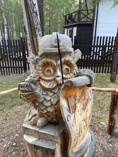 This is a medium-shot, eye-level, outdoor photograph of a carved wooden owl statue situated in Tal'tsy, Russia. The statue depicts an owl wearing a helmet and holding a scroll with carved Cyrillic text. The owl is carved from light-colored wood and has intricate details such as feathers and a textured scroll. The statue is placed on a wooden base, which appears to be made from logs. In the background, there is a dark wooden fence, a white building with dark trim and a balcony, and a forest with birch and pine trees. The ground is covered with grass, dry leaves, and pebbles. A thin wooden rail extends horizontally across the frame in front of the owl statue. The lighting suggests it is daytime, with diffused light filtering through the trees.