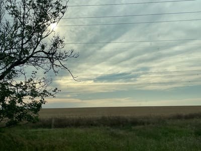 The image depicts a rural landscape under a cloudy sky with several horizontal power lines crossing the frame. In the foreground on the left, a portion of a leafy tree is visible, its branches silhouetted against the bright, hazy sun. The middle ground is dominated by a vast, golden field of crops, likely wheat or barley, stretching to the horizon. The foreground right consists of a strip of green grass, with some taller blades and scattered wildflowers. The overall impression is of an open, agricultural setting, possibly a field or farm in the countryside. The lighting suggests it is daytime, with the sun peeking through the overcast sky, creating a soft, diffused light. The mood is serene and natural, evoking a sense of open space and agricultural life. There is no visible text in the image. Given the location context of Congaz, Moldova, this scene is likely representative of the agricultural plains found in that region.