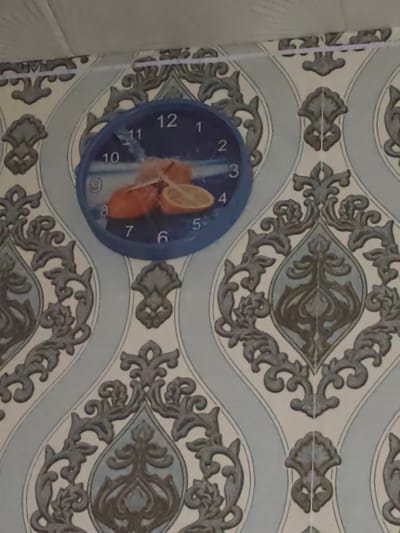 The image shows a close-up of a round wall clock with a blue frame, displaying an image of sliced oranges and lemons. The clock face has black Arabic numerals and hands. The clock is hanging on a wall with a patterned wallpaper featuring a light blue and gray damask design. The upper part of the image shows a white ceiling with visible lines, possibly indicating ceiling tiles. The lighting appears to be natural and diffused. The scene is static and there are no people or animals present. The overall impression is that of a decorative interior element. It is not possible to determine the specific location within the city of Ohangaron, Uzbekistan from this image alone.