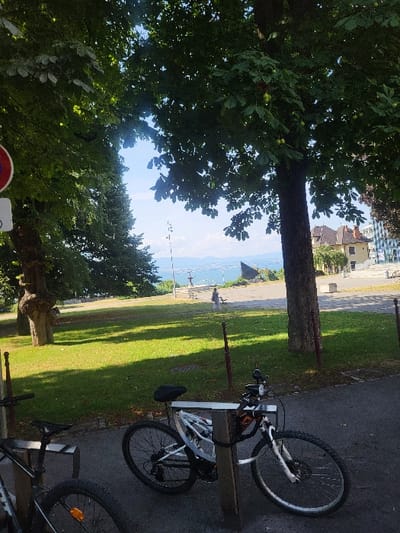 The image depicts an outdoor public park area in Thonon-les-Bains, France, providing an elevated view overlooking Lake Geneva.
In the immediate foreground, on a dark paved surface, two bicycles are parked. A white mountain bike, equipped with front suspension and disc brakes, is secured by a black cable lock to a square, dark-colored post. A second, darker-colored bicycle is partially visible to the left, its front wheel displaying an orange spoke reflector.
The mid-ground features a sunlit grassy lawn bordered by mature trees, including several horse chestnut trees (Aesculus hippocastanum) identifiable by their green, spiky burrs. A large tree trunk stands prominently on the right, with a gnarled trunk on the far left. A red and white circular sign is partially visible on the extreme left. Beyond the lawn, a multi-tiered stone decorative fountain is situated on a paved area near a stone wall or railing overlooking the lake. Two human figures are present on the paved path near the fountain: one adult-sized individual in light clothing is walking away from the camera, and a second, smaller figure is positioned nearby.
The background is dominated by the calm, blue waters of Lake Geneva, extending to a horizon line beyond which hazy blue mountains are visible. Portions of light-colored, multi-story buildings with traditional European architecture are discernible through foliage on the far right. The sky above is clear blue, visible through the tree canopy. The scene is illuminated by natural daylight, indicating a sunny day.