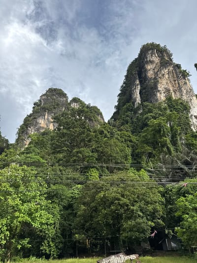 The image depicts a view of limestone karsts covered in lush green vegetation under a cloudy sky. The karsts rise steeply, showcasing their rugged texture with hints of lighter rock and streaks of discoloration. Numerous trees and vines cling to the rock faces, creating a dense jungle-like appearance. In the foreground, several power lines stretch horizontally across the frame, partially obscuring the lower slopes of the karsts and the dense foliage. At the very bottom of the image, a small, dark structure with a tin roof is visible, possibly a utility shed or a small dwelling, and a sign with Thai script. The overall environment suggests a tropical setting in Ao Luek, Krabi Province, Thailand, known for its dramatic karst landscapes. There are no people visible in the image.