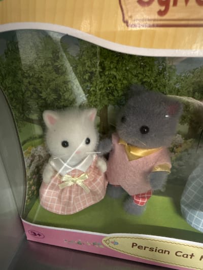 The image displays a box containing two toy cats, part of the Sylvanian Families line. One cat is grey and wearing a pink dress with a yellow sash. The other cat is white and also wearing a pink dress with a yellow ribbon. The cats are posed in a garden-like setting with green foliage. The box itself is pink and yellow and has the text "Persian Cat Family" visible. There is also a "3+" age rating symbol. The overall impression is of a children's toy set. The image is a close-up shot, likely taken indoors. The lighting appears to be natural or from a nearby light source. No specific time of day or weather conditions can be determined. The location context of Chociule, Poland is noted but not directly evident from the image itself. The toys appear to be new and in their packaging.