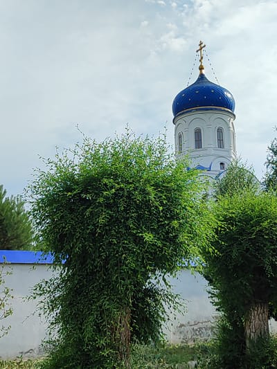 This media file is a photograph of an Orthodox church dome with a golden cross against a cloudy sky. The dome is a vibrant blue with gold diamond-shaped accents and is mounted on a white tower with arched windows. In the foreground, lush green trees and bushes partially obscure the view of the church, creating a sense of depth and framing the religious structure. A white wall with a blue trim runs along the bottom of the image, separating the greenery from the base of the church. The overall scene suggests a serene and perhaps spiritual setting. The time of day appears to be daytime, with diffused sunlight filtering through the clouds. No people are visible in the image, and there is no visible text. The location is identified as Boraldai, Kazakhstan.