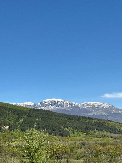 The image captures a mountain landscape near Osetenovo, Bulgaria. The sky is a clear, bright blue, occupying the left portion of the frame. To the right, a mountain range ascends, its peaks partially covered in snow. A dense forest, primarily evergreen, blankets the lower slopes of the mountain. In the foreground, trees with budding green leaves are visible. The overall scene conveys a clear, sunny day in a mountainous region. There are no people visible in the image.