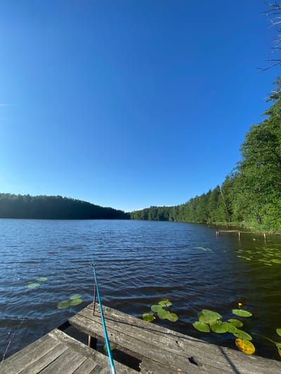 The image depicts a serene natural scene on a clear, sunny day. The perspective is from a wooden pier, looking out over a tranquil body of water. A fishing rod extends from the pier into the water, suggesting the activity of fishing. The water is calm, with a gentle ripple pattern across its surface. Scattered on the water are several large, green lily pads.
To the right of the water, the wooden pier is visible, showing weathered planks. The scene is bordered by a dense line of lush green trees, characteristic of a forest, that stretches along the far bank of the water. Above the trees, a vast expanse of clear blue sky dominates the upper portion of the image. The lighting and clear sky indicate it is daytime, likely midday. The overall mood is peaceful and tranquil, evoking a sense of calm and relaxation. There is no visible text in the image. The location context suggests this scene is situated within the Азёрскі сельскі Савет in Belarus.