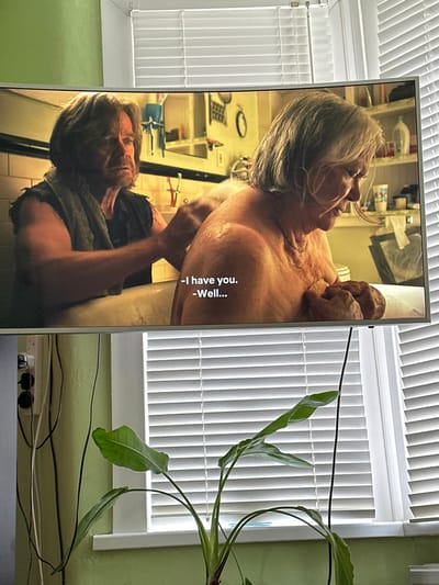 The image captures an indoor residential scene in Dorchester, United Kingdom, featuring a large, curved flat-screen television displaying a video, set in front of a window. On the television, an older man with shaggy brown hair and a towel draped over his left shoulder is seen from the chest up, actively washing the back of an older woman with grey hair, who is partially nude and seated, looking downwards. Subtitles are visible at the bottom of the screen, reading '–I have you. –Well…'. The television screen partially obscures a window fitted with white horizontal venetian blinds, with sections of the blinds visible above and below the screen. A white window sill is visible below the lower blinds. In the foreground, below the television and in front of the window, a green houseplant with broad, unadorned leaves grows from a pot, partially obscuring the lower section of the window and blinds. To the left of the television, a light green wall is visible with multiple wall-mounted power outlets and various white and black electrical cables hanging vertically. The room appears brightly lit, likely by natural light entering through the window.