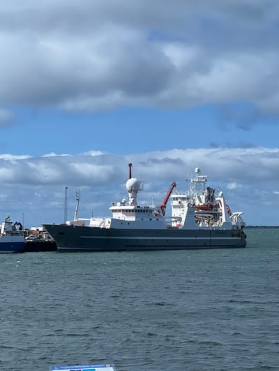 The image shows a large, gray, white and red fishing vessel docked in the harbor at Hafnarfjörður, Iceland, located at coordinates (latitude: 64.064, longitude: -21.958). The ship has a large white radar dome on the top, and a red crane on the side. The ship has a number of small, white boats and a red lifeboat on the deck. The vessel is docked in a calm harbor, with a clear blue sky and white clouds overhead. The view is taken from the shore, looking across the harbor towards the ship. The ship appears to be unattended and the only people visible are in the reflection of the ship’s windows. The water appears calm with small ripples. A small portion of a sign in the foreground is visible.