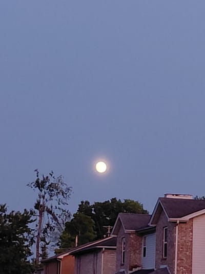 A full moon is visible in a clear, light blue sky over a residential area in Nicholasville, United States of America. The moon is slightly off-center to the left. In the foreground, the tops of several houses with peaked roofs are visible, constructed with brick and siding. Trees, some with dark foliage and others appearing sparser, are situated between the houses and behind them, with one tall, thin tree directly in front of the moon. The overall scene depicts a twilight or early evening setting.