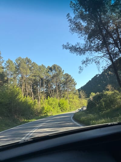 The image shows a road running through a forested area. The road is paved and has white lines marking the lanes. On either side of the road is dense vegetation, including trees and shrubs. The sky is blue with a few scattered clouds. The image appears to be taken from inside a vehicle, looking out the window. The location is likely in the Xanthi Municipal Unit, Greece, based on the prompt.