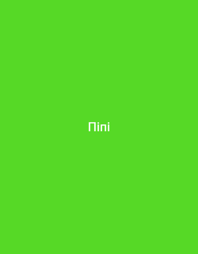 The image is a bright green screen with the word "Nini" displayed in white, blocky, pixelated text in the center. There are no discernible features of Iziaslav, Ukraine, in this image. The background is a solid, uniform green, suggesting a digital or fabricated scene rather than a real-world location.