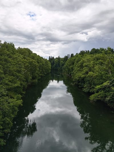 The image depicts a serene river scene in Ljungsbro, Sweden, under a cloudy sky. The river, dark and calm, reflects the overcast sky and the lush green trees that line its banks. The trees are dense and varied, with some appearing to be birch trees due to their lighter bark. The water's surface is mostly smooth, with only slight ripples visible. The overall impression is one of natural beauty and tranquility.