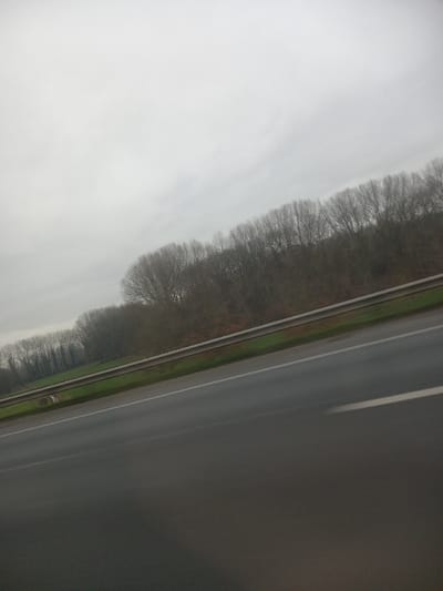 The image presents a roadside view in Waasmunster, Belgium. A dark gray asphalt highway occupies the lower and mid-section of the frame, featuring distinct white lane markings. A silver-colored metal guardrail runs parallel to the road, positioned on a narrow strip of green grass. Beyond the guardrail and grass, a dense line of deciduous trees, largely bare of foliage, forms a natural barrier, suggesting a late autumn or winter season. The sky above is uniformly overcast and light gray, indicating a cloudy day. No individuals or other vehicles are visible. The overall composition shows motion blur on the road surface, consistent with a photograph taken from a moving vehicle.