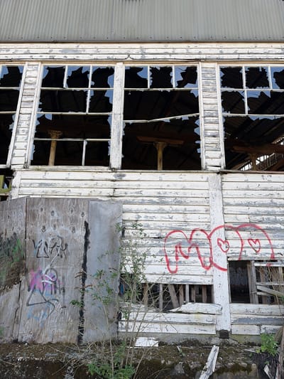 The image shows a dilapidated building exterior in Mid Suffolk, United Kingdom. A section of corrugated metal siding is visible on the left, adjacent to a window frame with multiple broken glass panes. The window frame is painted white, with peeling paint. To the right, the building's facade consists of weathered wood planks, also painted white with peeling paint. Red graffiti is visible on these planks. Below, a section of plywood covers a damaged area, and graffiti is visible on the plywood. Vegetation, including small plants and tree branches, grows near the building, some obscuring parts of the structure. Moss is also visible, particularly on the right side of the image. The roof structure is visible through the broken windows.