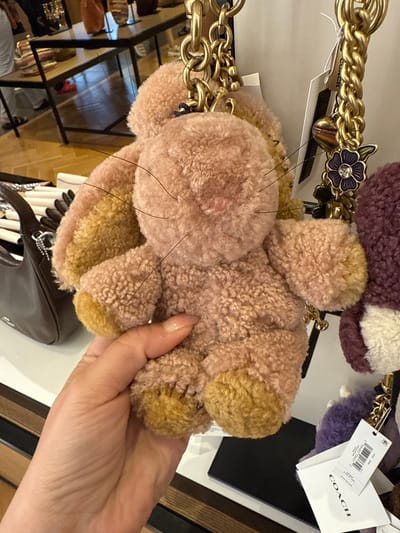A hand holds a pink and yellow plush toy in front of a store display, with a Coach tag visible on a nearby item. The location appears to be within the city of Sunrise, United States of America. The background shows a retail environment, including shelving and other merchandise.