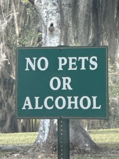 A rectangular, dark green sign with white serif text reading "NO PETS OR ALCOHOL" is positioned centrally, mounted on a dark green, ribbed metal post. The sign shows minor surface wear. Behind the sign, the trunk of a large, light-colored tree with mottled bark is visible, featuring a small, dark, circular cavity or knot on its upper left section. In the background, numerous trees draped with Spanish moss and various green foliage are present. The ground beneath the sign and trees consists of sparse grass and scattered organic debris. The scene is illuminated by natural daylight, consistent with an outdoor park or public area in Micanopy, Florida, United States. No people or animals are present.