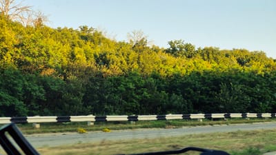 The image depicts a roadside scene with a dense line of trees bordering a road. The trees are a mix of deep green and vibrant yellow, suggesting either a transition into autumn or a variety of foliage. A guardrail, painted with alternating black and white stripes, separates the road from the trees. The road itself appears to be paved and runs alongside a grassy verge. The sky is a pale blue, indicating daytime. A shadow is cast across the grassy verge and road, possibly from a vehicle or structure outside the frame. The perspective is from a moving vehicle, looking outwards. No people or specific text are visible. The location is identified as Razeni, Moldova.