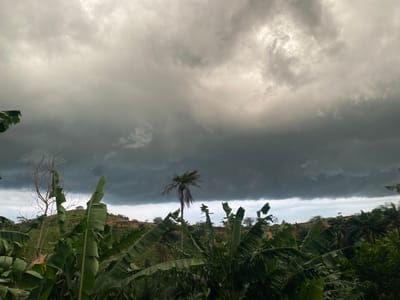 The image depicts a landscape near Amaigbo, Nigeria, under a heavily overcast sky. Dominating the lower half of the frame are dense clusters of banana plants with large, wind-blown leaves. Amidst the banana plants and on the rising terrain behind them are scattered trees, including a prominent palm tree. The ground slopes upward into a small hill or ridge. The sky is filled with dark, ominous clouds, suggesting an approaching storm.