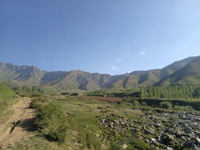 The image depicts a rural mountain landscape in the vicinity of Kalaynay, Tajikistan. In the foreground, a dirt road winds its way through a rocky, grassy terrain with scattered bushes. To the left of the road, a wooden fence line runs along the edge of the scene. Further into the middle ground, a dense line of tall, slender trees stands against a backdrop of rolling green hills. These hills are interspersed with patches of scrub and some reddish vegetation. Beyond the hills, a range of majestic, rugged mountains dominates the background, their slopes casting shadows under a clear, bright blue sky. The overall scene conveys a sense of natural beauty and tranquility in a remote mountain setting.