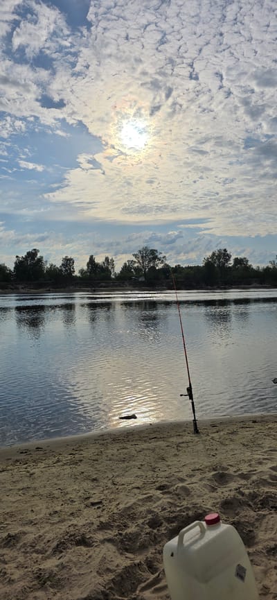 The image depicts a serene, outdoor scene at the water's edge, likely a lake or riverbank, in Mazyr, Belarus. The sun, partially obscured by scattered clouds, casts a bright reflection on the rippling water, suggesting it is either early morning or late afternoon. The sky is filled with textured, white and gray clouds against a pale blue backdrop, indicating partly cloudy weather.
The foreground features a sandy shore, marked with footprints, indicating recent human presence. On the sand, a fishing rod with a red pole and black reel is set up, angled towards the water. To the right, a large, white plastic container with a pink cap is visible.
The middle ground is dominated by the calm water, reflecting the sky and the trees lining the opposite bank. The tree line forms a dark, continuous band of foliage against the brighter sky. A single, larger tree stands out on the bank.
There is no visible text in the image. The overall mood is peaceful and tranquil, evoking a sense of relaxation and quiet enjoyment of nature. The presence of fishing gear and the container suggests leisure activities like fishing or camping. The time of day appears to be during the golden hour, given the quality of light and reflections.
