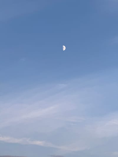 A half-moon is visible in a clear blue sky with sparse wispy clouds. The image appears to be a photograph taken outdoors, likely during the daytime, given the brightness of the sky. The moon is positioned in the upper portion of the frame. No structures or people are visible in the image. The location is specified as Ust'-Mana, Russia.