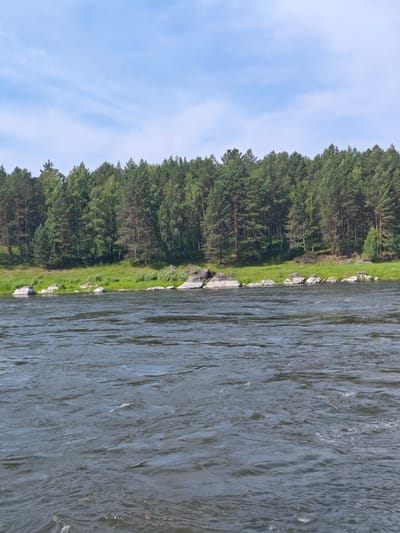 An eye-level, full shot captures a wide river flowing in the foreground, with a lush green forest bordering the opposite bank under a clear blue sky. The river is a dark, choppy blue, with white foam and ripples indicating movement. The bank is lined with rocks and a thick expanse of pine trees with varying shades of green. The sky is bright blue with a few wispy white clouds. The scene is serene and natural, suggesting a location outside of a densely populated area. This scene is located in the city of Porog, Russia.