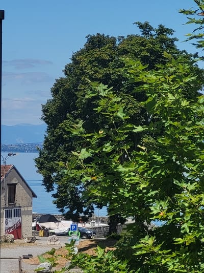 The image depicts a static outdoor scene captured in daylight at a lakeside location in Publier, France, overlooking Lake Geneva. In the foreground, dense green foliage, likely from large-leaved trees, partially frames the lower right and extends up the right side. A thin, dark vertical pole is partially visible on the far left.
In the midground, to the left, stands a two-story building constructed of light-colored material, possibly stone or stucco, with a brown gabled roof. The lower section of the building features a red and white sign, partially obscured, which reads "SKYVETAGE". A dirt or gravel path is visible in front of the building, extending towards the water, with several scattered light-colored rocks. To the right of this path, a blue square parking sign marked with a white 'P' and a green symbol below it is visible. A dark-colored SUV is parked adjacent to the sign. Several boats are moored or docked along a stone shoreline or pier; at least one boat is covered by a dark tarp.
The background features the expansive, calm blue waters of Lake Geneva. Across the lake, a distant, hazy landmass, appearing as mountains or large hills, is visible under a clear, light blue sky. A few faint, wispy clouds are present near the horizon on the left side of the sky. Structures or lights are discernible along the distant shoreline. The entire scene is illuminated by bright natural daylight, creating distinct but soft shadows. No individuals are visible within the frame.