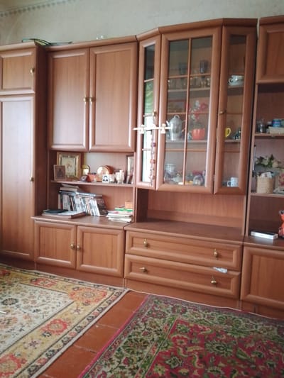 The image depicts a room with a large wooden shelving unit. The shelving unit is filled with various objects, including books, framed pictures, decorative items, and what appear to be dishes and glasses in the glass-fronted cabinets. There are also two rugs on the floor in front of the shelving unit, one with a predominantly light-colored floral pattern and the other with a darker, more intricate design. A small, orange, toy-like object is visible on the right side of the shelving unit. The overall impression is that of a domestic interior. The location of Dovzhansk, Ukraine is not visually represented in the image.