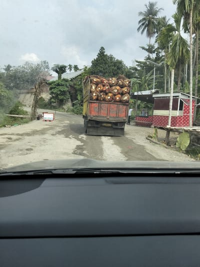 The image captures a scene on a rural road in Awegeutahpaya, Indonesia, likely a palm oil plantation area. A large, red and yellow truck is prominently featured, heavily laden with fresh palm oil fruit bunches. The truck is on a slightly wet, unpaved road that winds through a lush, green environment with numerous palm trees and dense foliage. To the right of the road, a small, open-air structure with a red and white patterned facade is visible, possibly a roadside stall or kiosk. A person in a white shirt is standing near this structure. In the background, there are several buildings with roofs, suggesting a small settlement or part of the plantation infrastructure. The sky is overcast with clouds. The perspective suggests the photo was taken from inside a vehicle, looking forward through the windshield.